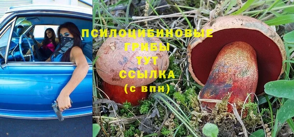 герыч Лиски