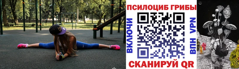 Купить где  Родники  Галлюциногенные грибы Psilocybine cubensis 